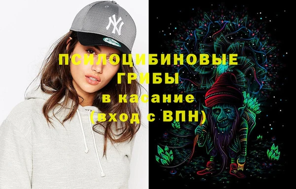 марки lsd Белокуриха