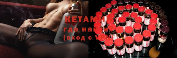 крисы Кулебаки