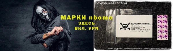крисы Кулебаки