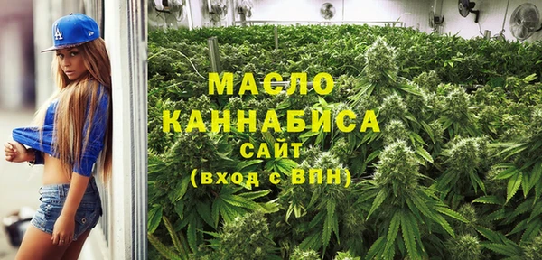 крисы Кулебаки