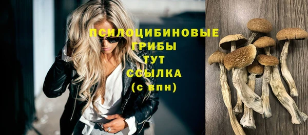 марки lsd Белокуриха