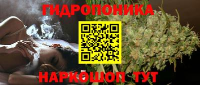 шишки Волжский