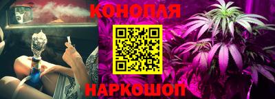 шишки Волжский