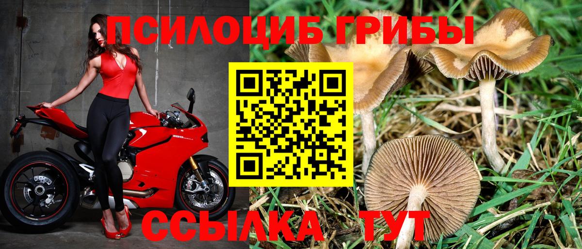 Галлюциногенные грибы мухоморы  Дивногорск 