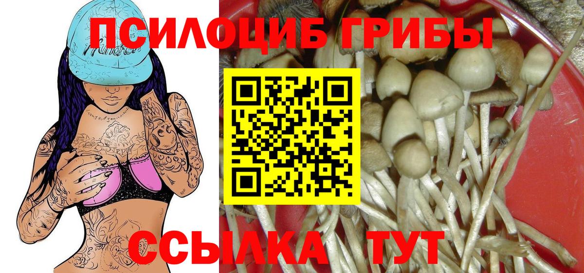 Галлюциногенные грибы GOLDEN TEACHER  Вход с VPN  Дивногорск  Псилоцибиновые грибы ЛСД 